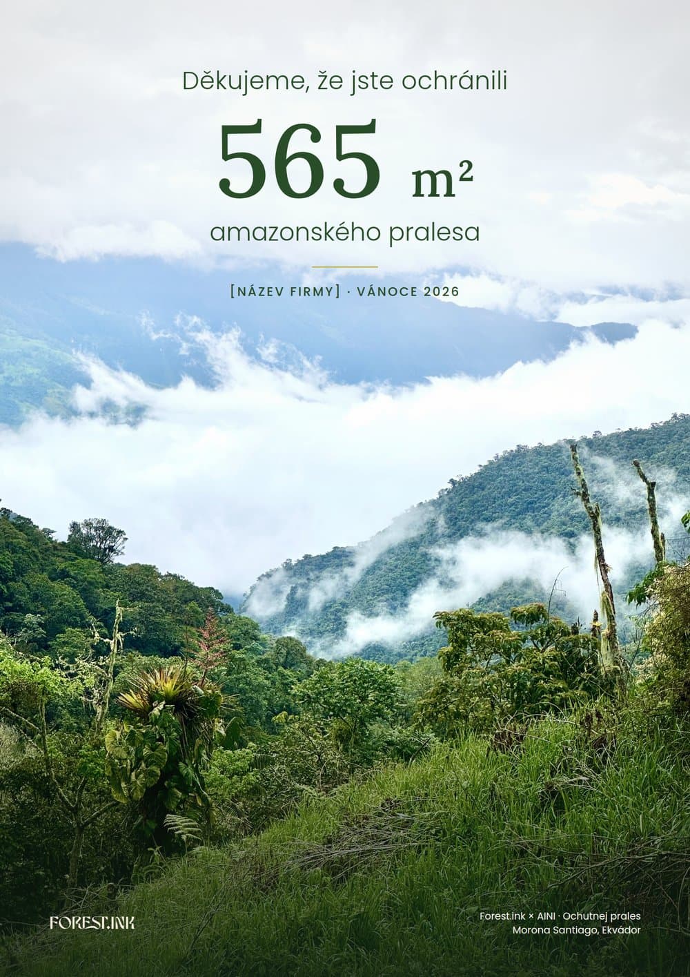 Obraz A2: Děkujeme, že jste ochránili 565 m² amazonského pralesa, na fotografii mlžného pralesa v Ekvádoru