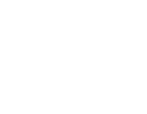 AINI
