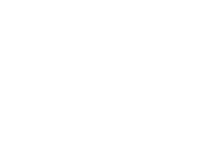 AINI