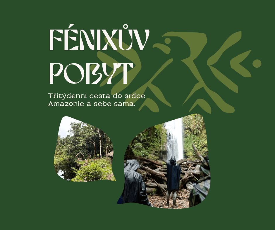On-line info schůzka Fénixův pobyt